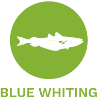 blue whiting dog food