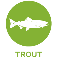 Trout dog food