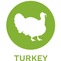 turkey dog food