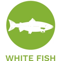 white fish cat food